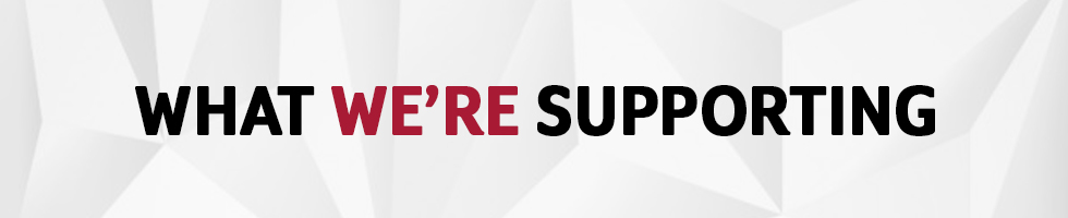 what were supportinglafm header 2019